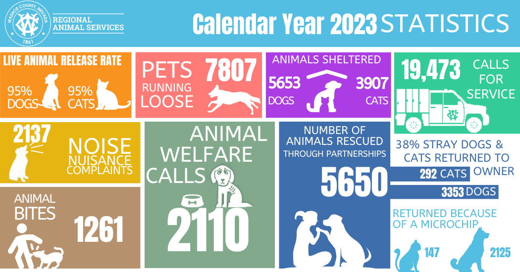 Calendar year 2023 Statistics